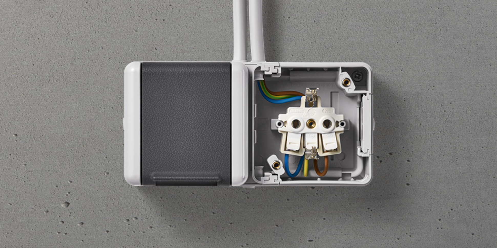 Doppelsteckdose mit Trennsteg bei wdw retail e.K. in Bad Blankenburg